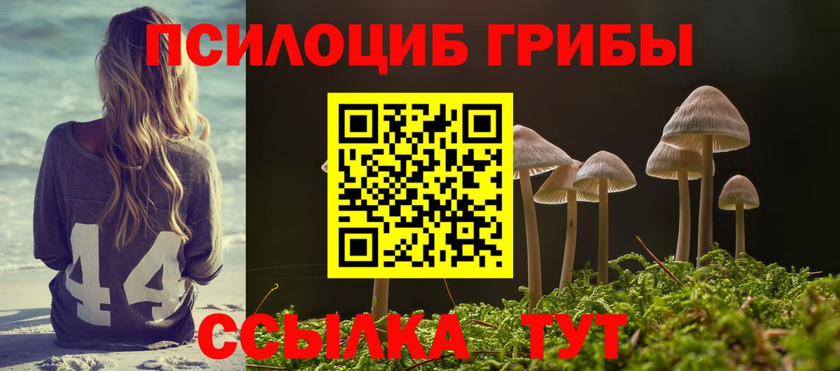 Галлюциногенные грибы ЛСД Вольск